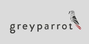 Grey Parrot